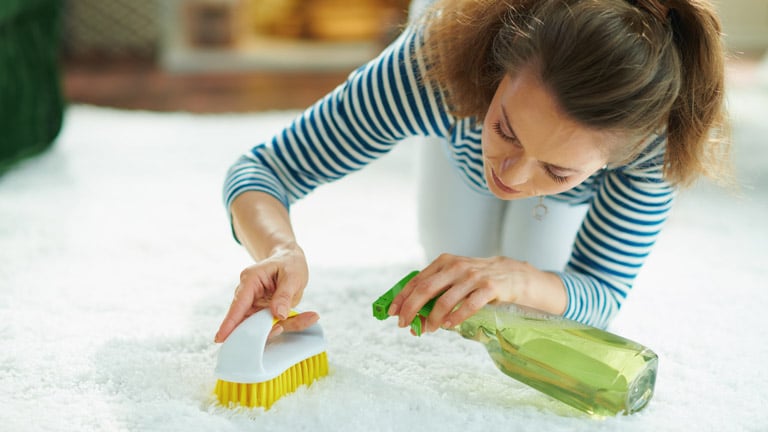 A woman cleans a carpet stain using a brush and a spray bottle